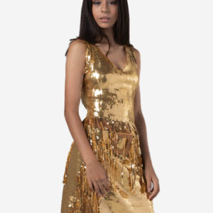 Briggs new york  Gold night party dress